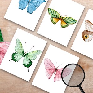 May include: Five watercolor butterfly illustrations on white cards. The butterflies are in various colors, including blue, green, yellow, brown, and pink.