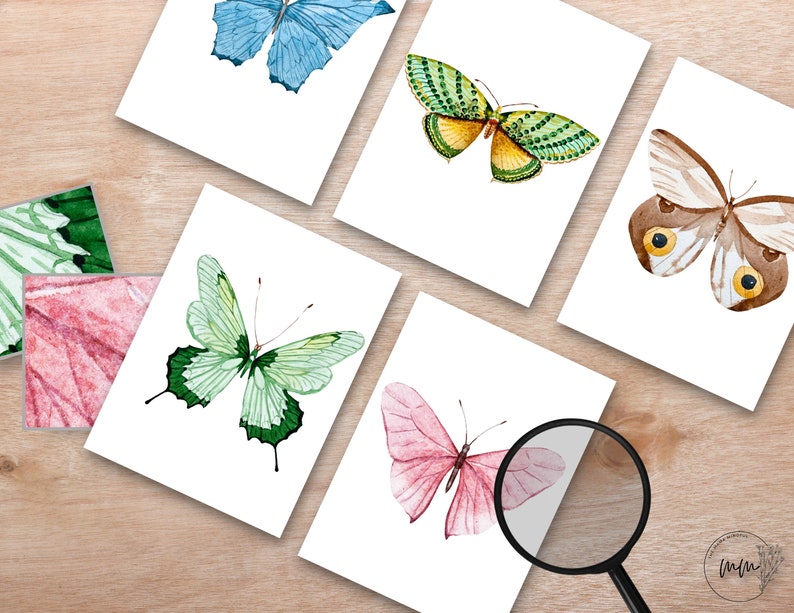 May include: Five watercolor butterfly illustrations on white cards. The butterflies are in various colors, including blue, green, yellow, brown, and pink.