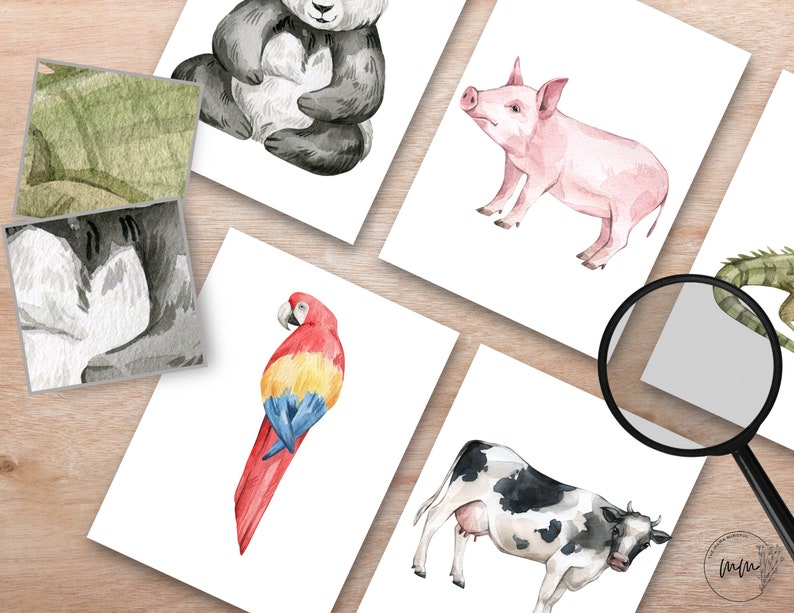 Animal Pattern Matching Cards, Montessori Animals, Nature Study Cards ...