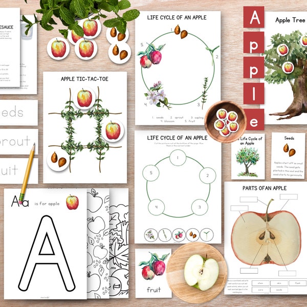 Apple Unit Study Bundle, Apple study, Fall Montessori unit, nature flashcards, homeschool nature unit, preschool activities, 3 part cards