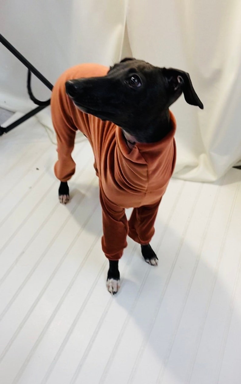 Rusty Doggy Onesie with Ultra Soft Fabric for Italian Greyhound /& Whippet Sweater