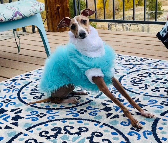 Etsy whippet cheap coat