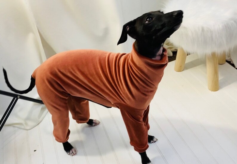 Rusty Doggy Onesie with Ultra Soft Fabric for Italian Greyhound /& Whippet Sweater