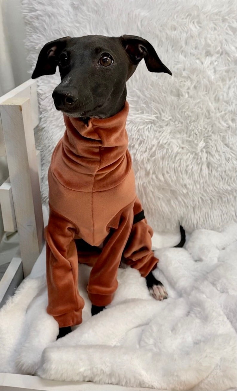 Rusty Doggy Onesie with Ultra Soft Fabric for Italian Greyhound /& Whippet Sweater