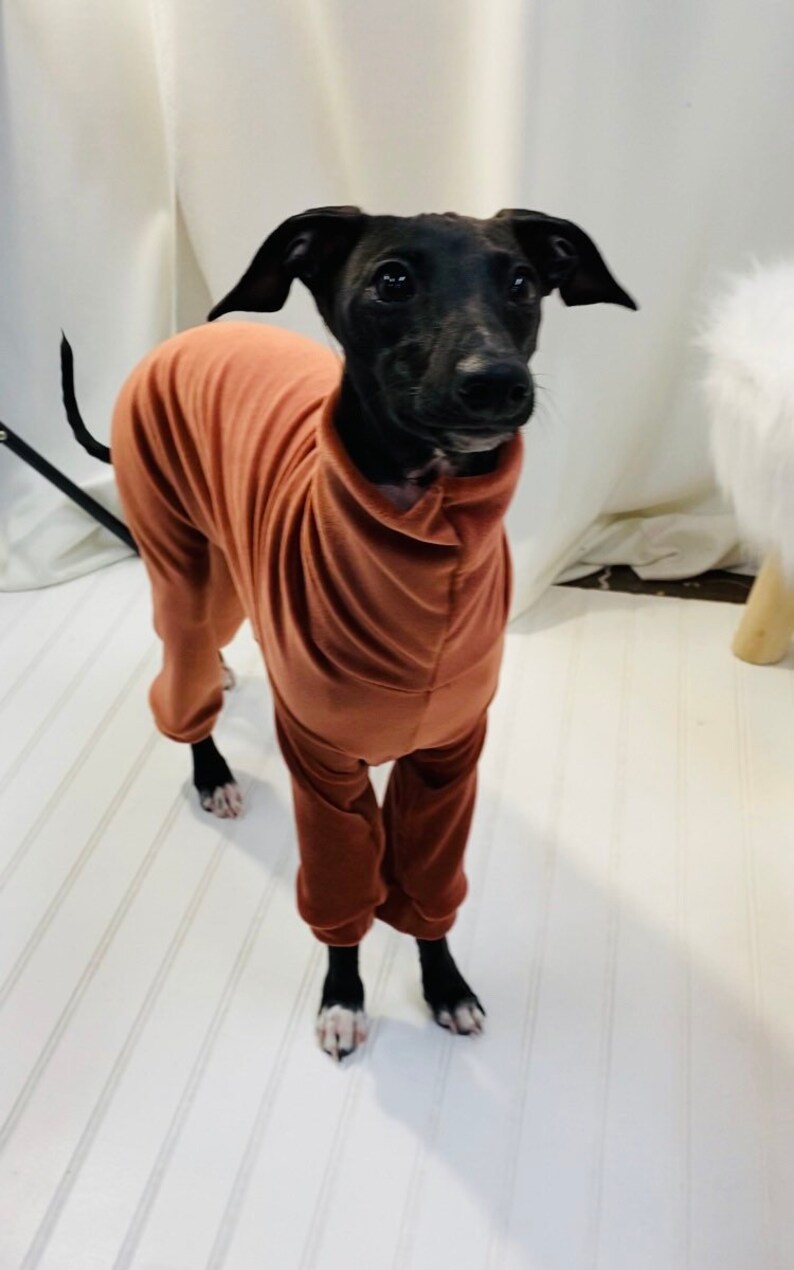 Rusty Doggy Onesie with Ultra Soft Fabric for Italian Greyhound /& Whippet Sweater