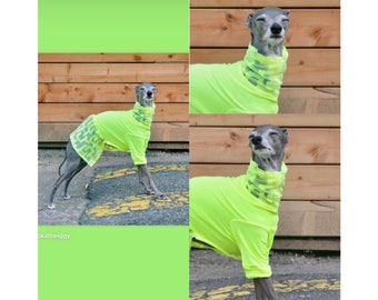 Neon Yellow Iggy and Whippets  Dress, perfect for Spring and summer