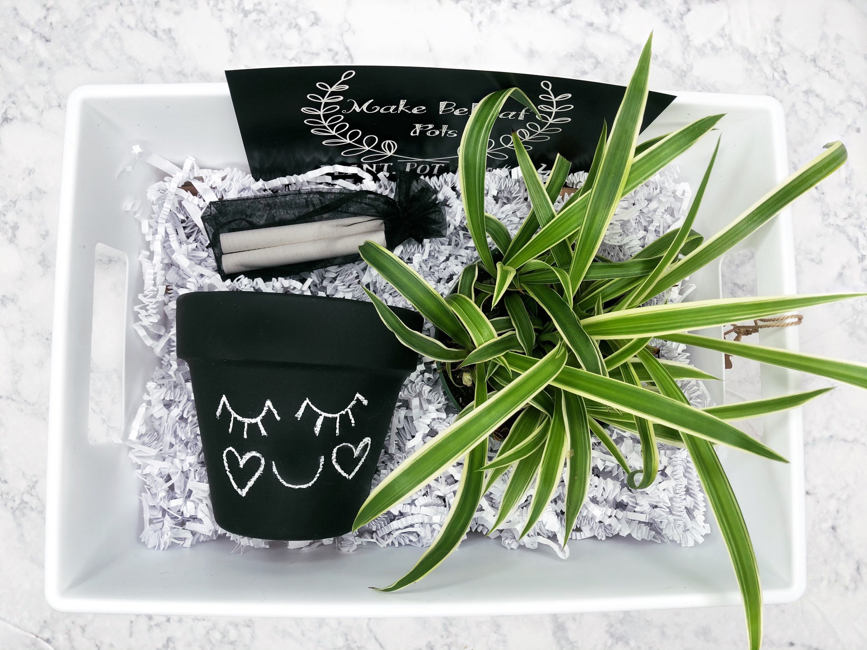 PLANT GIFT BASKET Local pickup only Etsy