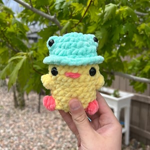 Crochet Duck with frog hat