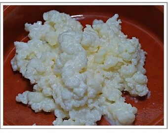 Live organic Kefir Grains 18g