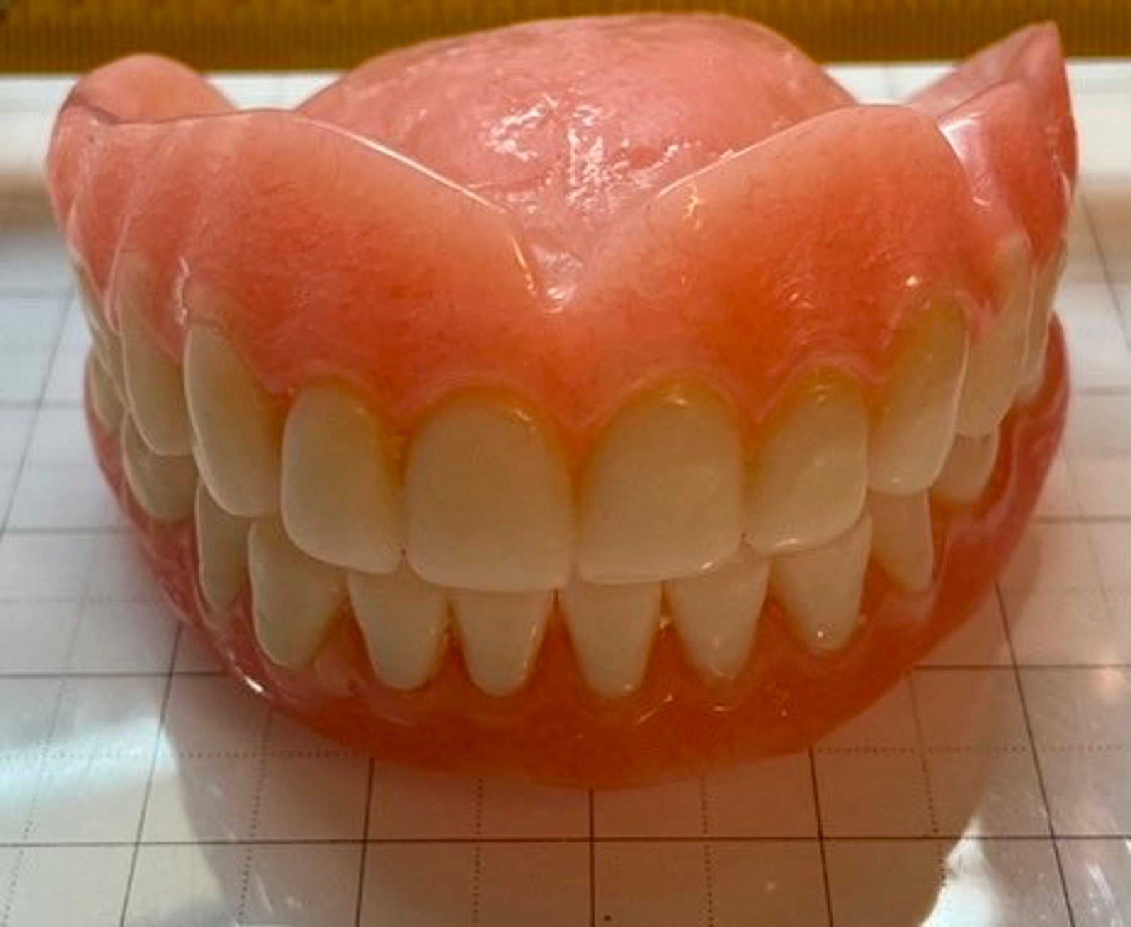 Denture cup with free set of dentures Etsy