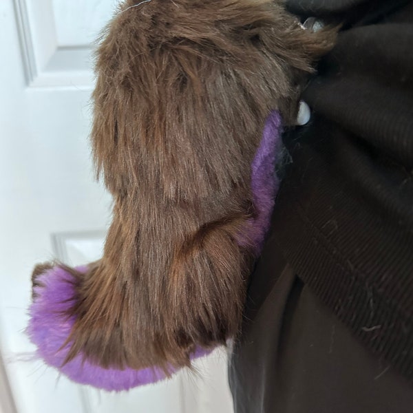 Brown and Purple Tail