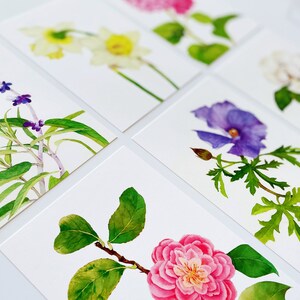 花のポストカード 8 枚セット | 植物の水彩画 | 春の花のアートプリント | 植物アートカード | 手描きの植物アート