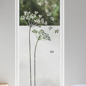 Peut inclure: Une fenêtre rectangulaire haute dotée d'un film de verre dépoli avec une impression botanique noire représentant deux tiges fleuries et des graines flottantes. La fenêtre est encastrée dans un mur blanc, entourée d'armoires gris clair.