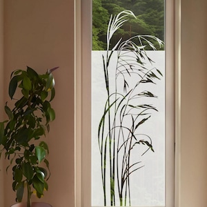 Window film grasses, door film, frosted glass film, sandblasted look, glass sticker, privacy screen, decorative film, glass door, individual sizes, t016