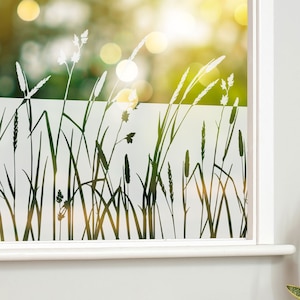 Window film grasses, privacy film, frosted glass film, sandblast optics, glass stickers, privacy protection, decorative film, glass door, individual sizes