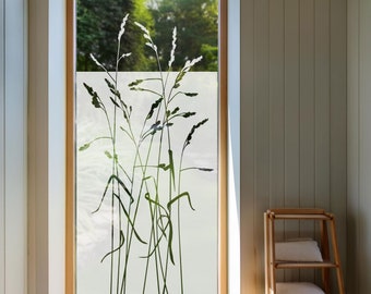 Sichtschutzfolie, Motiv Gräser, Fensterfolie, Milchglasfolie, Sandstrahloptik, Glasaufkleber, Sichtschutz, Dekofolie, Türfolie, t_014