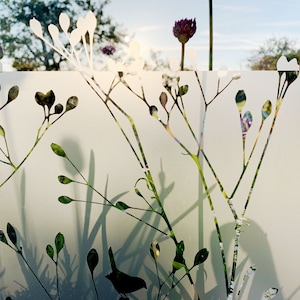 Window film grasses, privacy film, frosted glass film, sandblasted look, sticker, privacy screen, decorative film, bird, individual sizes, f028