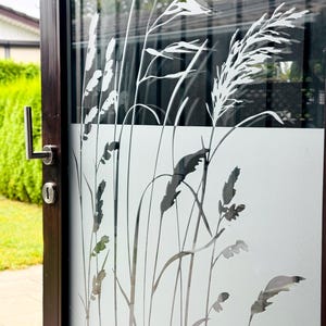 Window film grasses, privacy film, frosted glass film, sandblasted look, glass sticker, privacy protection, decorative film, glass door, t_013