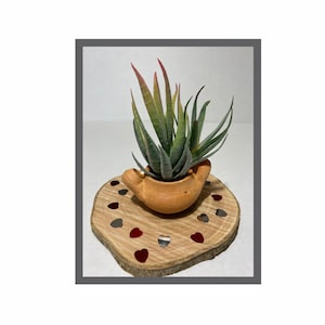 May include: A small succulent plant in a terracotta pot shaped like a bird, sitting on a wooden slice with red heart-shaped accents.