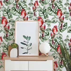 Red Parrots   Wallpaper Removable Wallpaper Peel and Stick Wallpaper Wall Printable Wall Art Room Decor Wall Prints