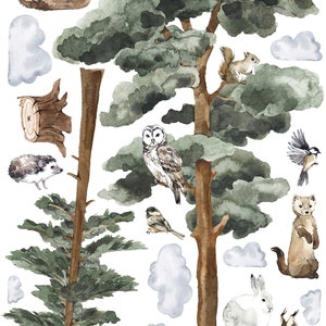 May include: Watercolor illustrations of forest animals and trees.  The set includes a fox, squirrel, owl, hedgehog, bird, weasel, rabbit, lynx, and two trees.  The illustrations are painted in shades of brown, green, and white.