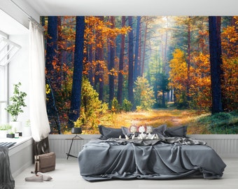 Autumn Forest Wallpaper Mural Sunset Landscape Peel and Stick Art, Self-Adhesive, Renter Friendly, Removable Roll