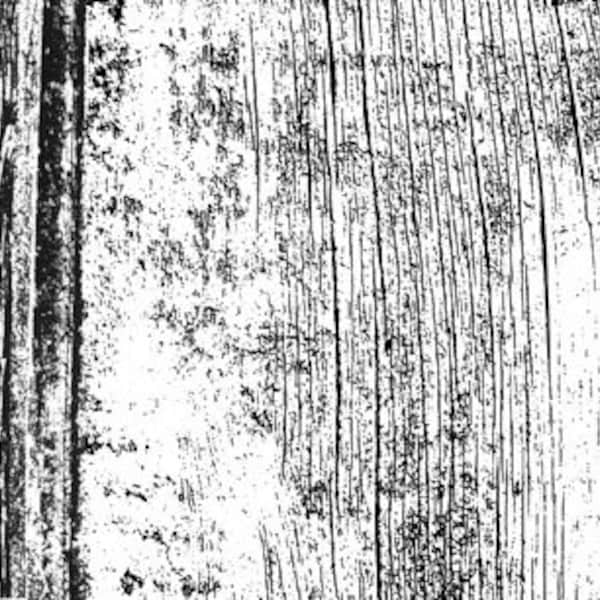 Woodgrain Stamp Etsy