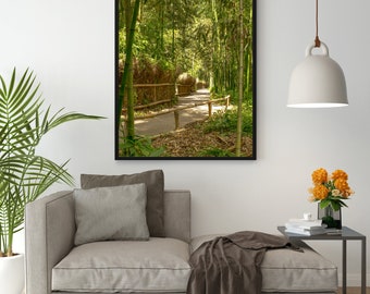 Bamboo forest. Photography. Poster, canvas, pictures on the foam board and on aluminium plate