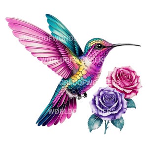 Puede incluir: Ilustraci&oacute;n colorida de un colibr&iacute; en vuelo, con tonos rosas, morados, turquesas y amarillos. El ave est&aacute; situada cerca de dos rosas, una rosa y otra morada, con hojas verdes.