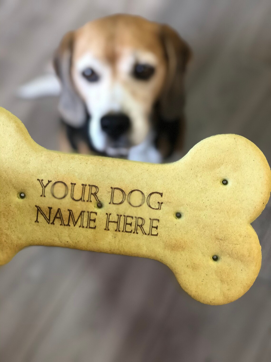 Personalised dog treat biscuits Dog name biscuits Dog Etsy