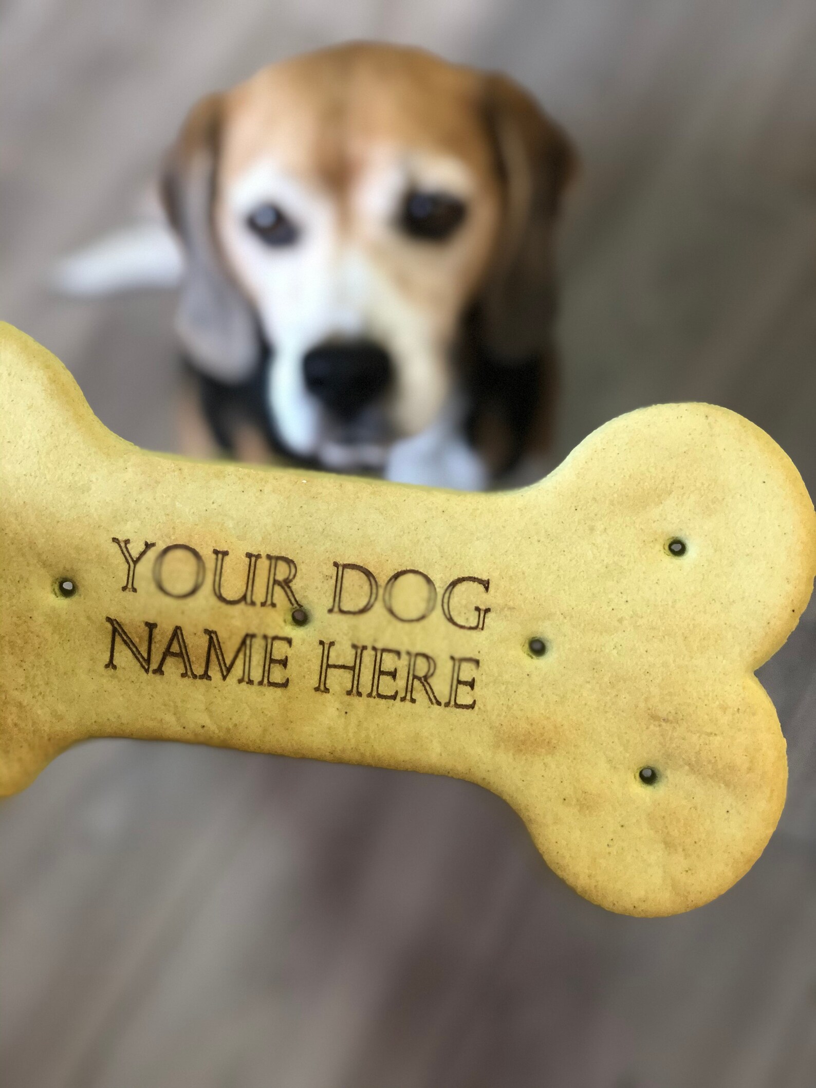 Personalised dog treat biscuits Dog name biscuits Dog Etsy