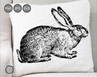 Download Hare Cricut Etsy
