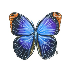 Farfalla gufo viola, pittura acquerello originale