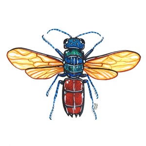 Red-Tailed Wasp, Original Watercolor Painting