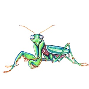 Blue Jade Praying Mantis, Original Watercolor Painting
