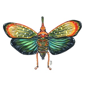 Lanternfly asiatica, pittura ad acquerello originale