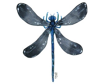May include: A watercolor painting of a blue dragonfly with black wings. The dragonfly is in flight with its wings spread out.