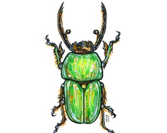 Stag Beetle, Original Watercolor Painting