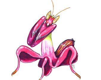 Orchid Mantis, Original Watercolor Painting