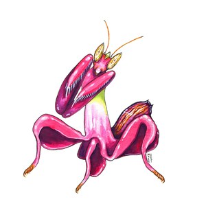 Orchid Mantis, Original Watercolor Painting