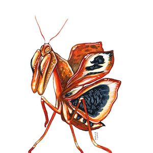 Dead Leaf Mantis, Original Watercolor Painting