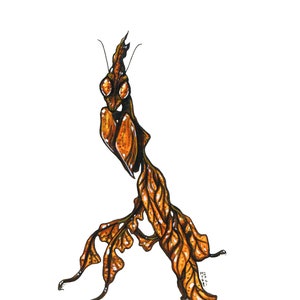 Ghost Mantis, Original Watercolor Painting