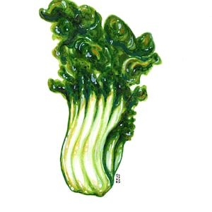 Bok Choy, Original AquarellMalerei