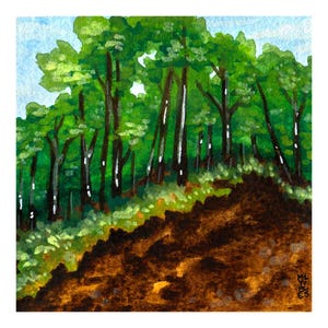Lincoln Woods State Park, Rhode Island / Acquerello originale