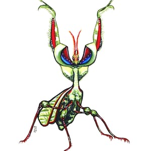 Devil&#39;s Flower Mantis, Original Watercolor Painting