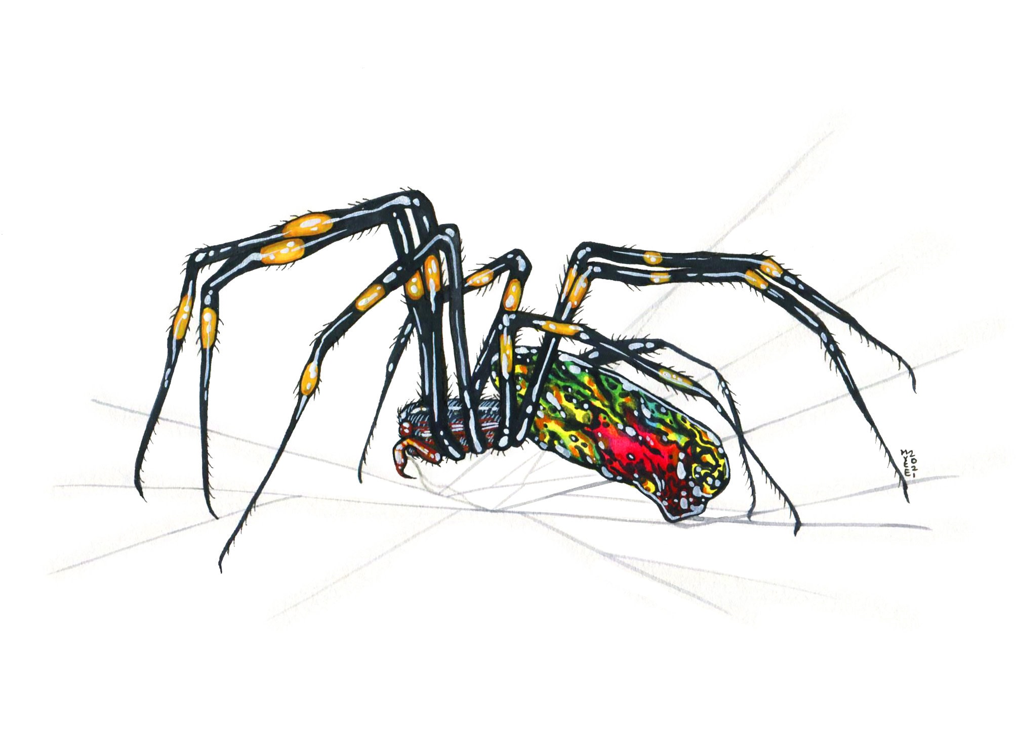Jorō Spider, Original Watercolor Painting
