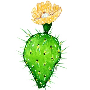 Prickly Pear Cactus, Original Watercolor Painting