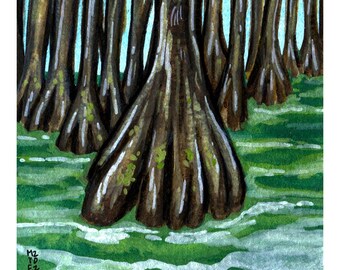 Parque Nacional Congaree, Carolina del Sur / Acuarela original