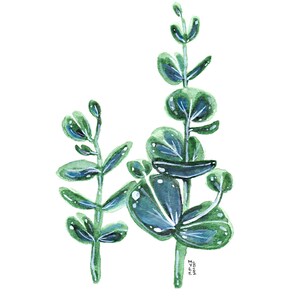 Eucalyptus Tree, Original Watercolor Painting