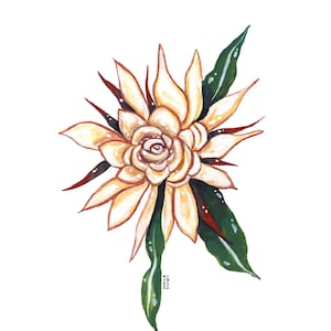 Queen of the Night, Original Watercolor Painting